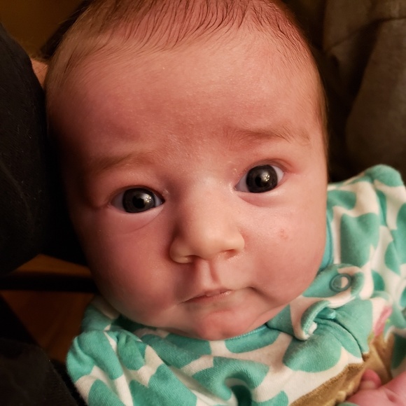 Meet your Posher, Donald - Picture 5 of 5